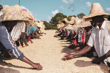 Load image into Gallery viewer, Guji, G4 Ethiopia