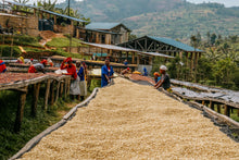 Load image into Gallery viewer, Karengera, Rwanda