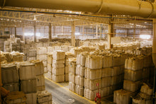 Load image into Gallery viewer, Summer Jaguara - Brazil