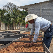 Load image into Gallery viewer, Friends HueHue, Guatemala / Single Origin Specialty Coffee