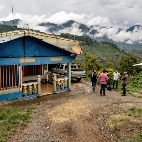 Decaf, Colombia / Friends of Huila / Single Origin coffee