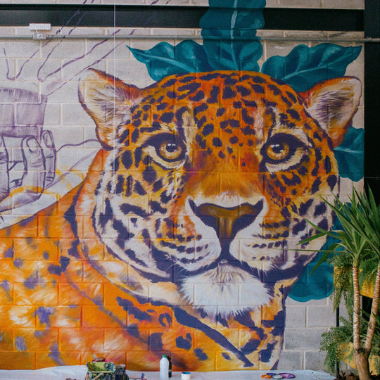 Summer Jaguara - Brazil