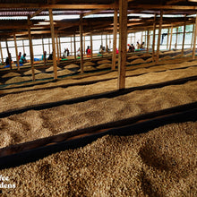 Load image into Gallery viewer, Coffee farm uganda
