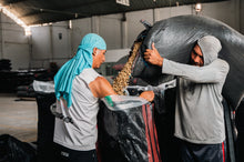 Load image into Gallery viewer, Chontali, Peru
