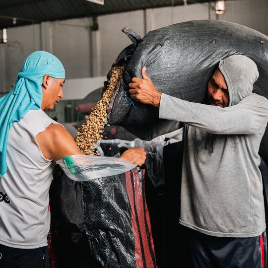 Chontali, Peru / Single Origin / Specialty Coffee