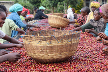 Load image into Gallery viewer, Dimtu Estate, Ethiopia
