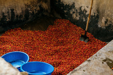 Load image into Gallery viewer, Karengera, Rwanda

