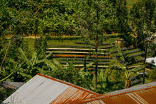 Load image into Gallery viewer, Karengera, Rwanda
