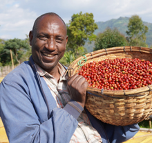 Load image into Gallery viewer, Solomon Boku, Ethiopia
