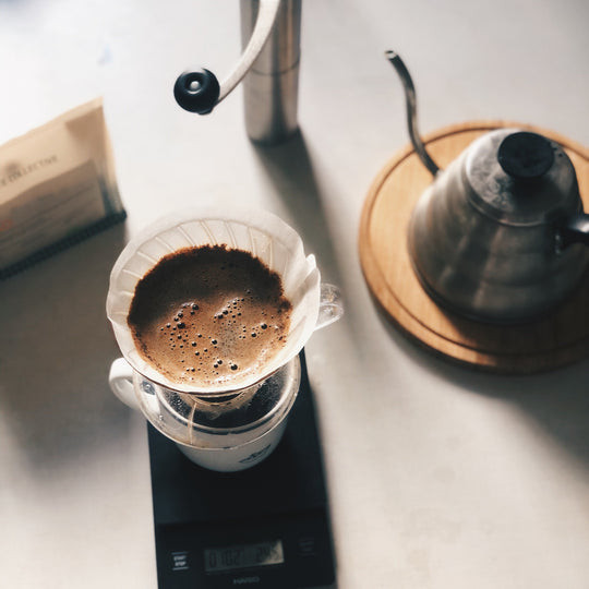 Cristina Hernandez / Guatemala / Microlot Coffee